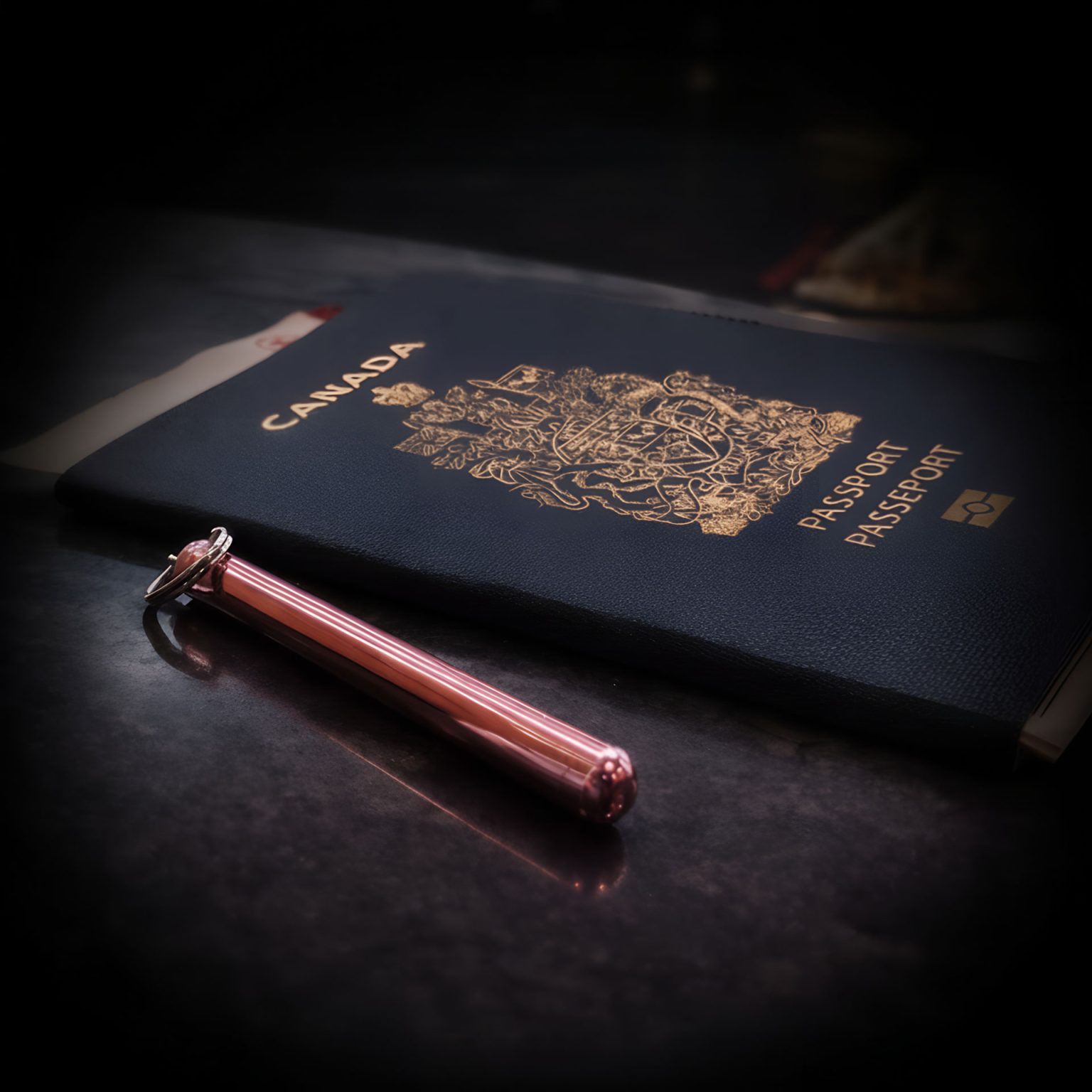 passport 10